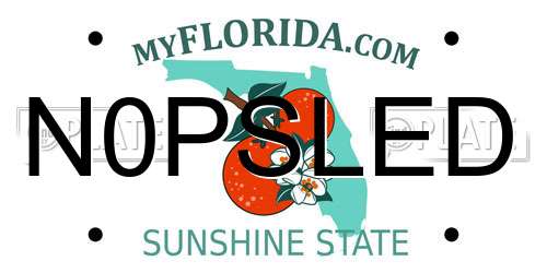 N0PSLED Florida License Plate