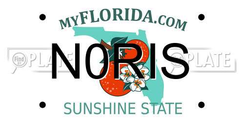 N0RIS Florida License Plate