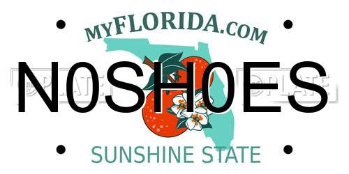 N0SH0ES Florida License Plate