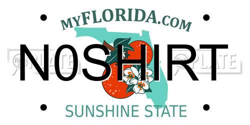 N0SHIRT Florida License Plate