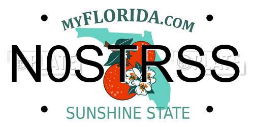 N0STRSS Florida License Plate