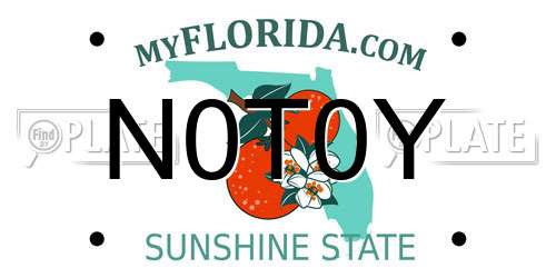 N0T0Y Florida License Plate