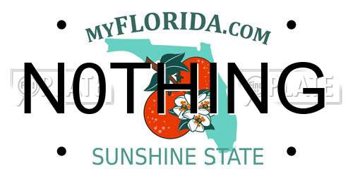 N0THING Florida License Plate