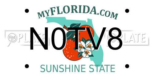 N0TV8 Florida License Plate