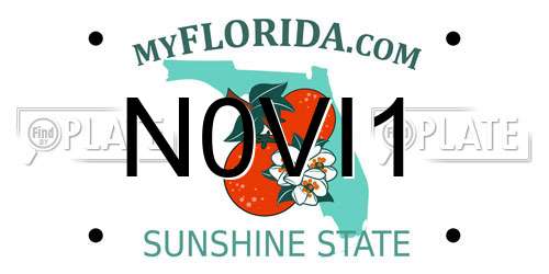 N0VI1 Florida License Plate