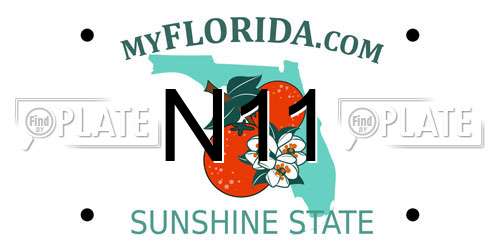 N11 Florida License Plate