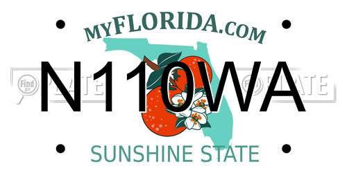 N110WA Florida License Plate
