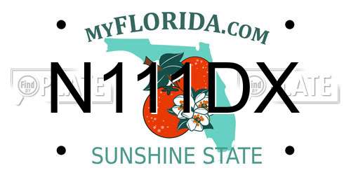 N111DX Florida License Plate