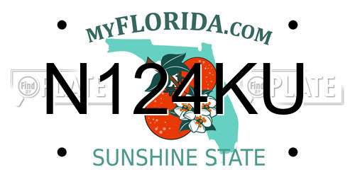 N124KU Florida License Plate