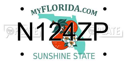 N124ZP Florida License Plate