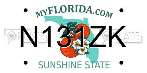 N131ZK Florida License Plate