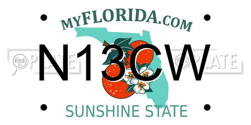 N13CW Florida License Plate