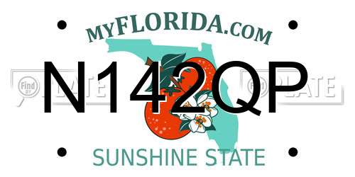 N142QP Florida License Plate