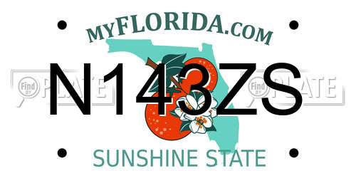 N143ZS Florida License Plate
