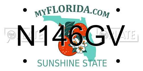 N146GV Florida License Plate