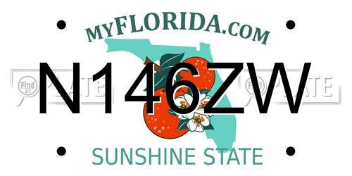 N146ZW Florida License Plate