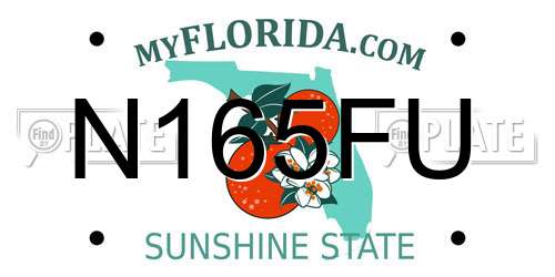 N165FU Florida License Plate