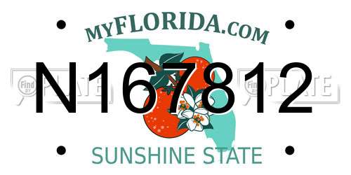 N167812 Florida License Plate