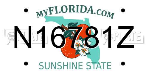 N16781Z Florida License Plate