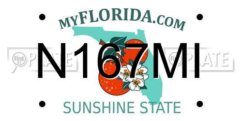 N167MI Florida License Plate