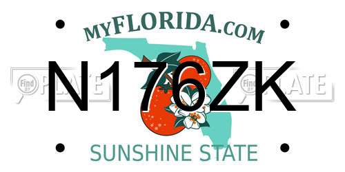 N176ZK Florida License Plate