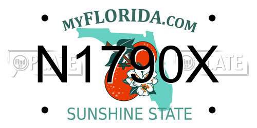 N1790X Florida License Plate