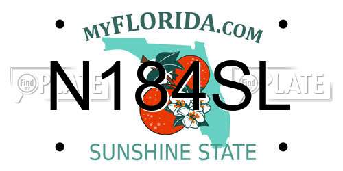 N184SL Florida License Plate