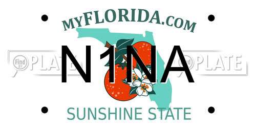 N1NA Florida License Plate