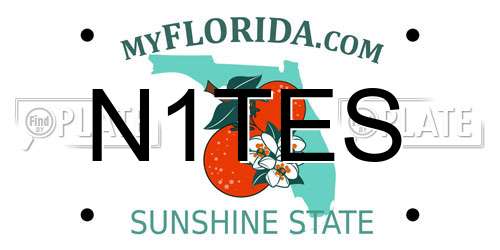N1TES Florida License Plate