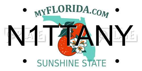 N1TTANY Florida License Plate