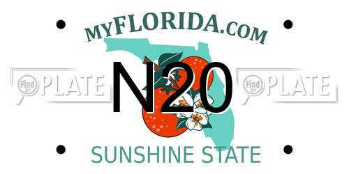 N20 Florida License Plate