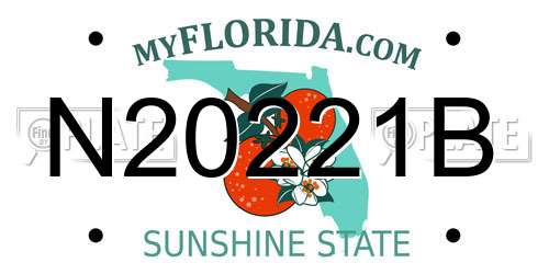 N20221B Florida License Plate