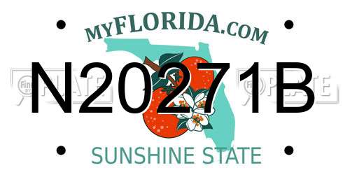 N20271B Florida License Plate