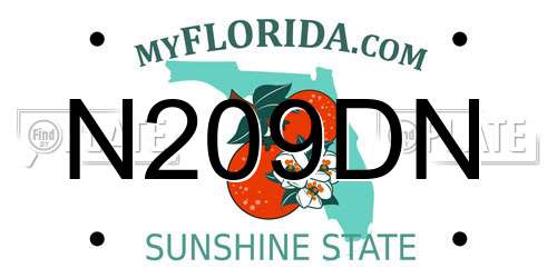 N209DN Florida License Plate