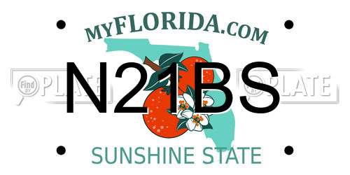 N21BS Florida License Plate