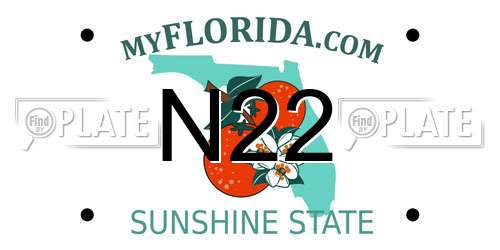 N22 Florida License Plate