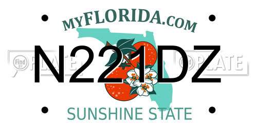 N221DZ Florida License Plate