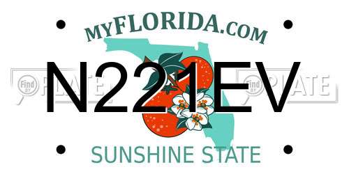 N221EV Florida License Plate