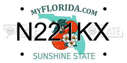 N221KX Florida License Plate