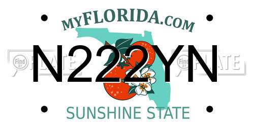 N222YN Florida License Plate