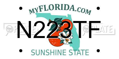 N223TF Florida License Plate
