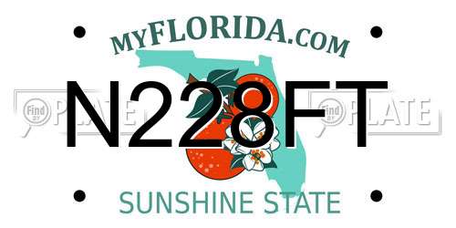 N228FT Florida License Plate