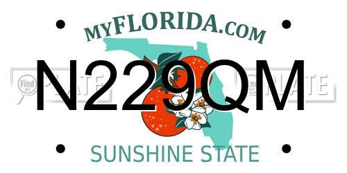 N229QM Florida License Plate