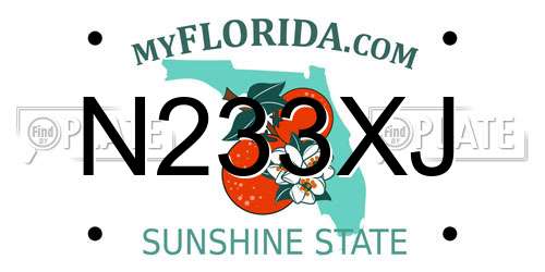 N233XJ Florida License Plate