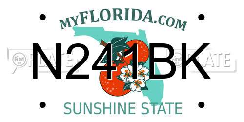 N241BK Florida License Plate