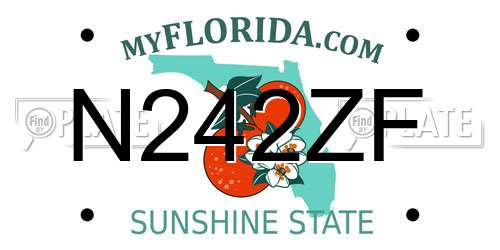 N242ZF Florida License Plate