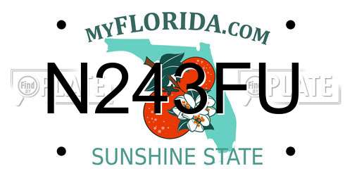 N243FU Florida License Plate
