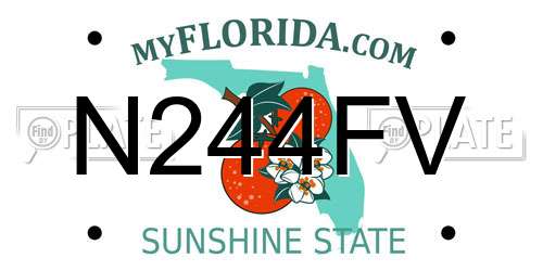 N244FV Florida License Plate