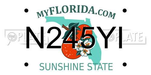 N245YI Florida License Plate
