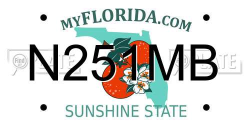 N251MB Florida License Plate